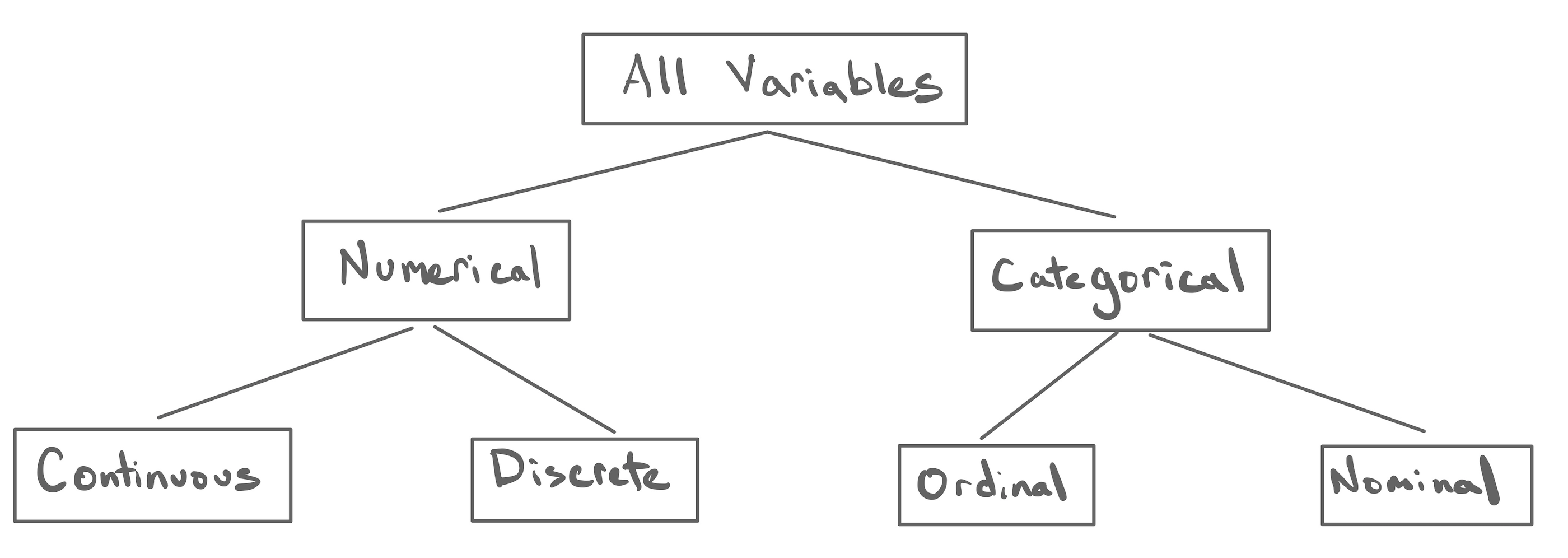 The Taxonomy of Data – Stat 20